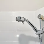 Fir Tree With Hot Tub York