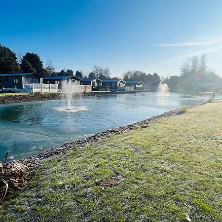 Fir Tree With Hot Tub