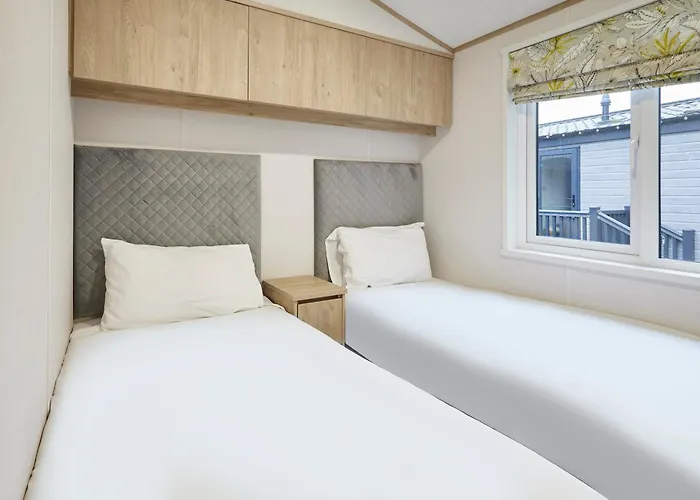 Fir Tree With Hot Tub