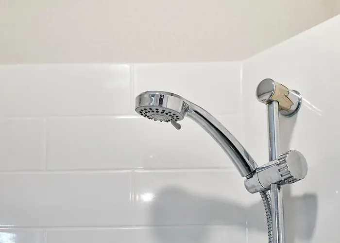 Fir Tree With Hot Tub 约克