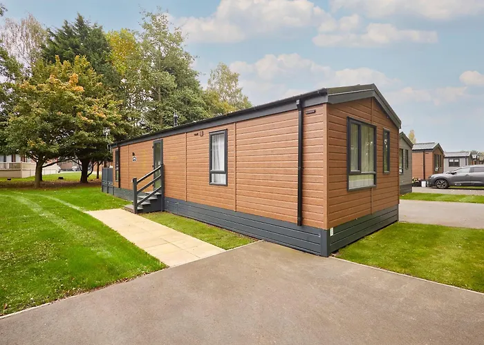 Fir Tree With Hot Tub